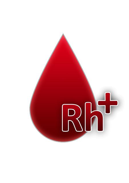 Nabíjení nové autobaterie: Je to povinné? 3 Faktory ovlivňující výkon nové autobaterie